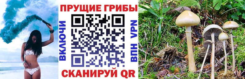 Галлюциногенные грибы мицелий mega как зайти Нижняя Салда